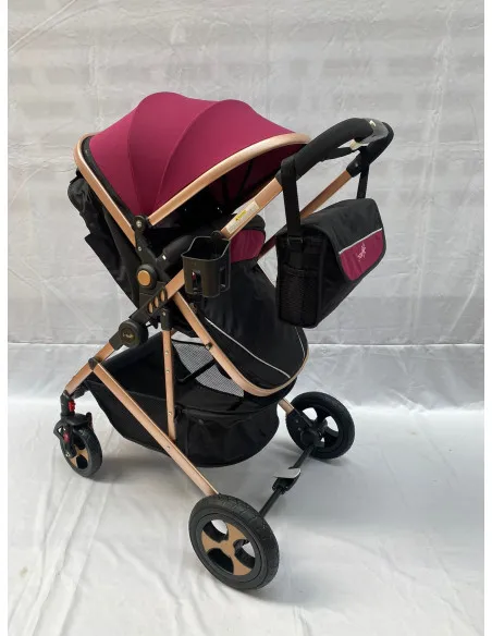 Carucior 2 in 1, 0-36 luni, RED-808, multicolor