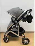 Carucior 2 in 1, 0-36 luni, RED-808, multicolor