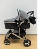 Carucior 2 in 1, 0-36 luni, RED-808, multicolor