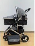 Carucior 2 in 1, 0-36 luni, RED-808, multicolor