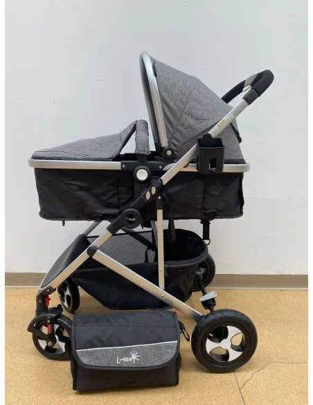 Carucior 2 in 1, 0-36 luni, RED-808, multicolor