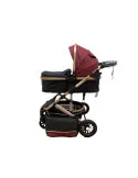 Carucior 2 in 1, 0-36 luni, RED-T7