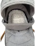 Carucior 3 in 1, 3 piese landou, sport si scoica, 0-36 luni, negru, RED-T6