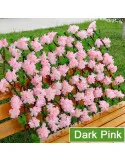 Pergola tip gard telescopic din lemn cu frunze si